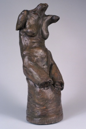Chocolate Torso