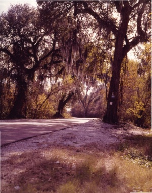 Rural Louisiana