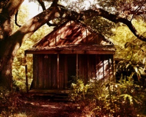 Cabin