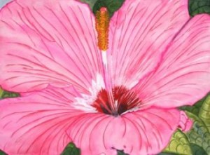 Joan Hooper Feibelman