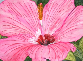Beauty is in the Eye of the Beholder